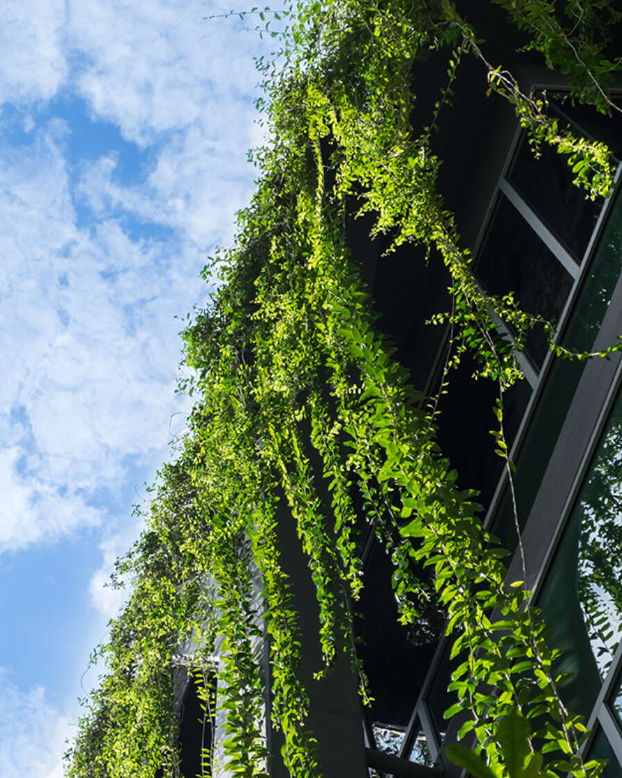 Sustainability Homepage