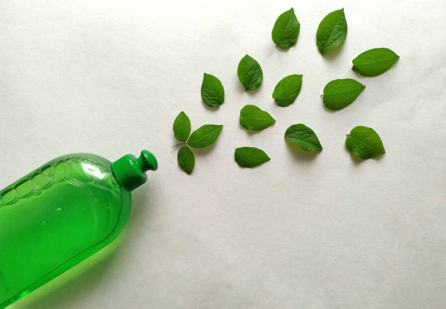 Sustainable Cleaning Solutions