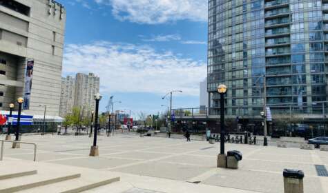 Photo of Navy Wharf Photo 1